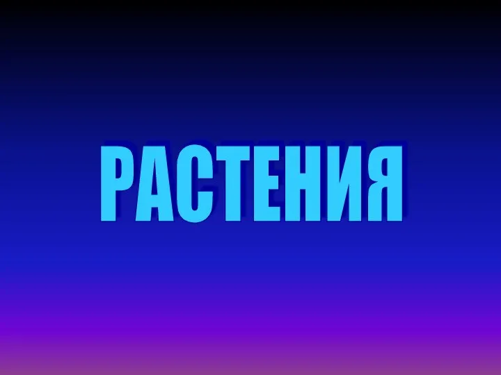 РАСТЕНИЯ