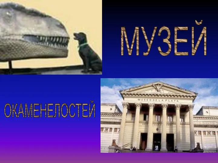 МУЗЕЙ ОКАМЕНЕЛОСТЕЙ