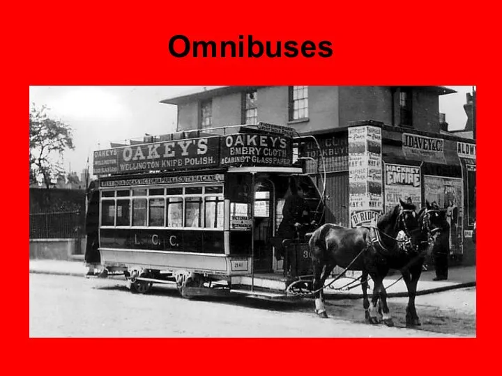 Omnibuses