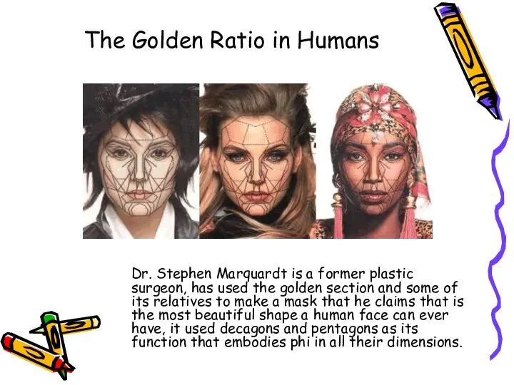 The Golden Ratio in Humans Dr. Stephen Marquardt is a former