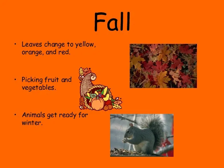 Fall Leaves change to yellow, orange, and red. Picking fruit and