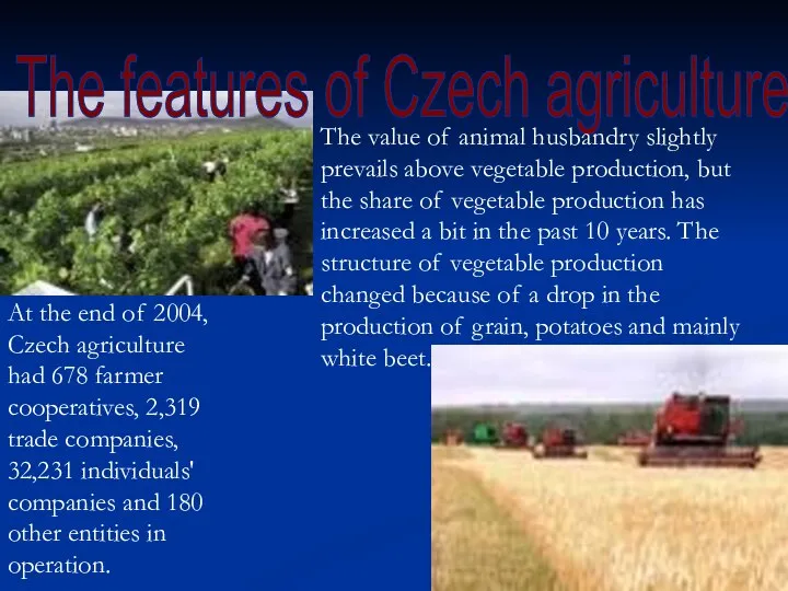 The features of Czech agriculture The value of animal husbandry slightly