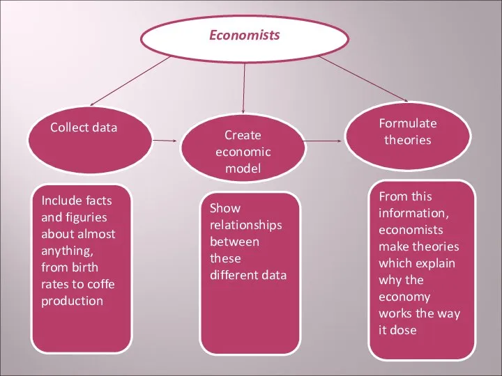 Economists Formulate theories Create economic model Collect data From this information,