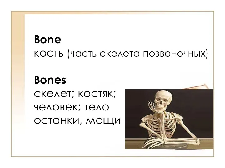 Bone кость (часть скелета позвоночных) Bones скелет; костяк; человек; тело останки, мощи