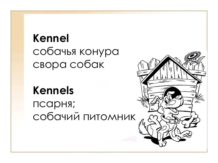 Kennel собачья конура свора собак Kennels псарня; собачий питомник