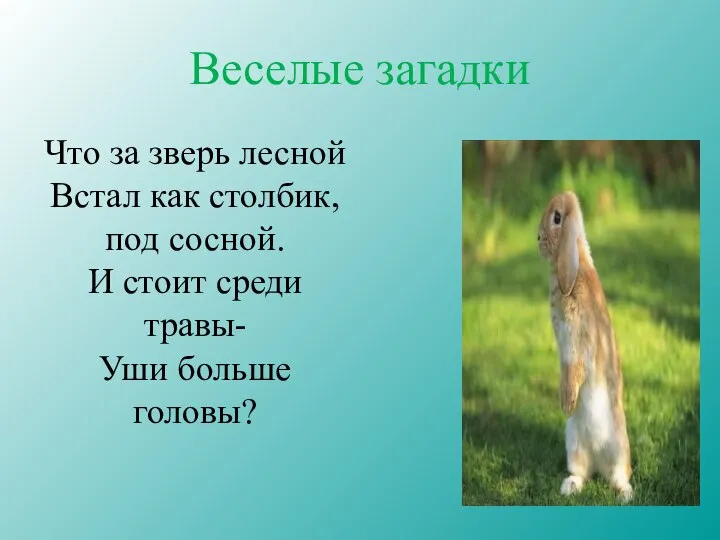 Веселые загадки Что за зверь лесной Встал как столбик, под сосной.