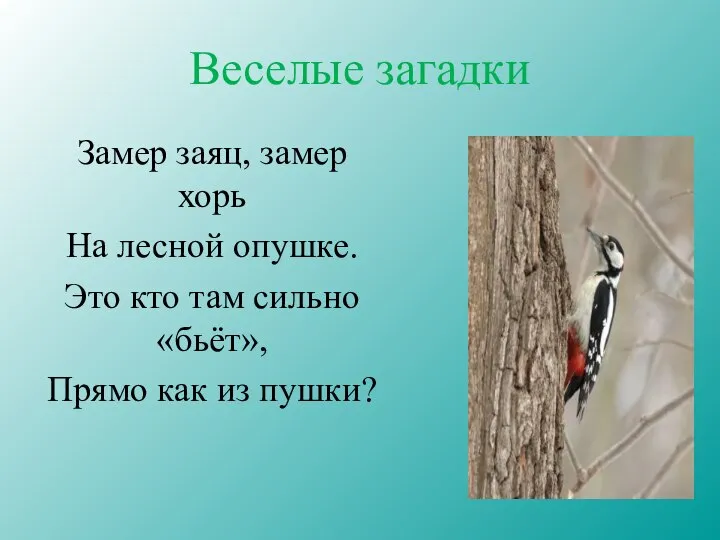 Веселые загадки Замер заяц, замер хорь На лесной опушке. Это кто