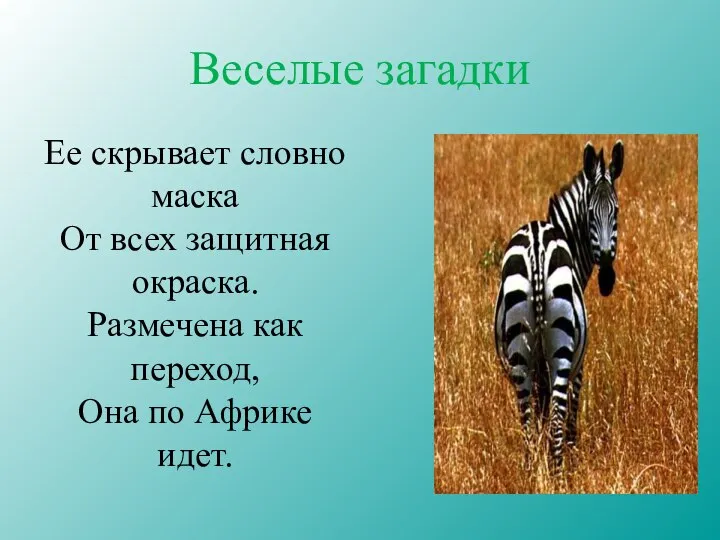 Веселые загадки Ее скрывает словно маска От всех защитная окраска. Размечена