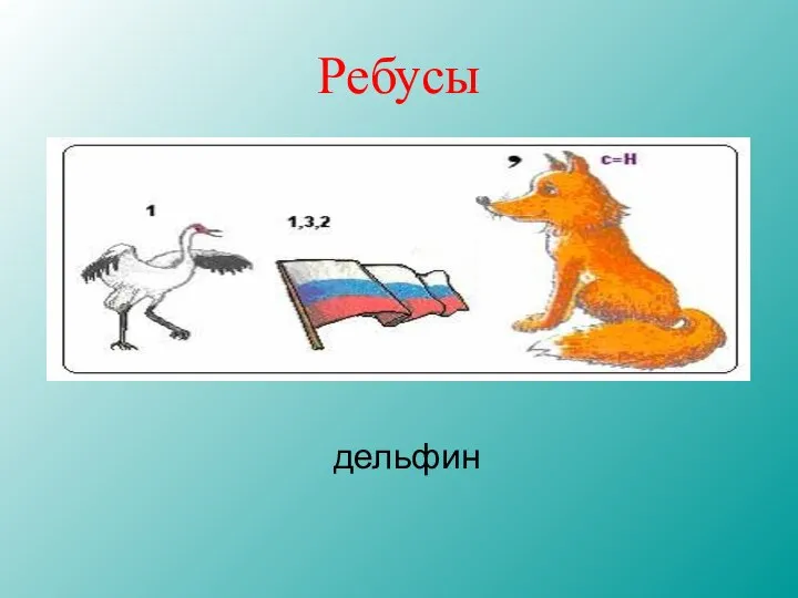 Ребусы дельфин