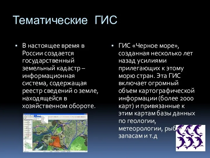 Тематические ГИС В настоящее время в России создается государственный земельный кадастр