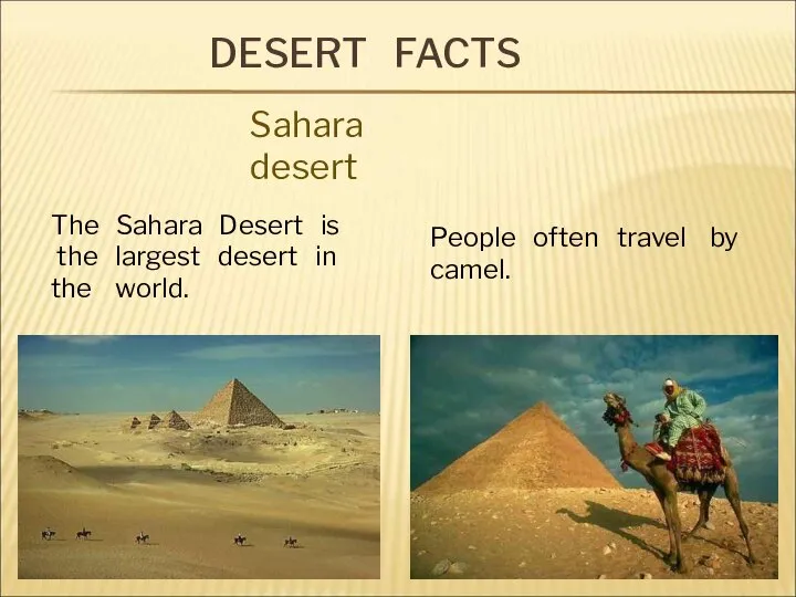 DESERT FACTS The Sahara Desert is the largest desert in the