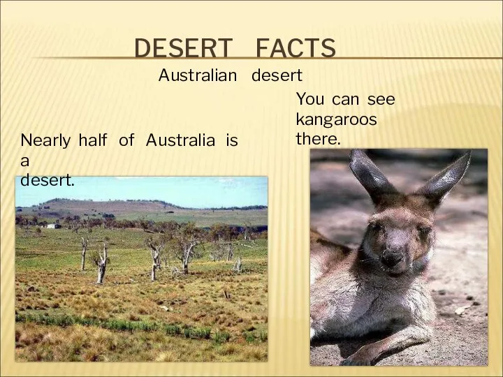 DESERT FACTS Aus Australian desert Nearly half of Australia is a