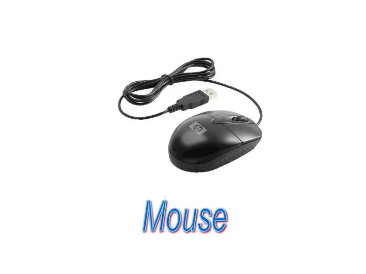 Mouse