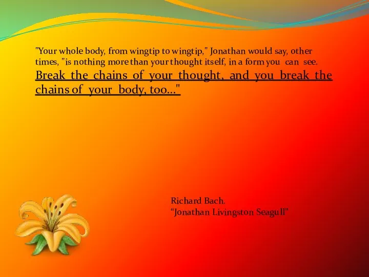 "Your whole body, from wingtip to wingtip," Jonathan would say, other