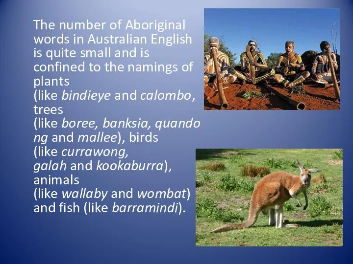 The number of Aboriginal words in Australian English is quite small