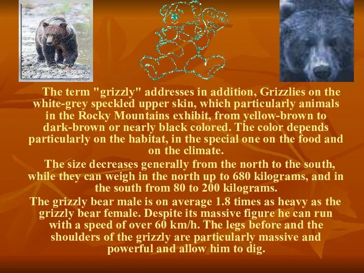 The term "grizzly" addresses in addition, Grizzlies on the white-grey speckled