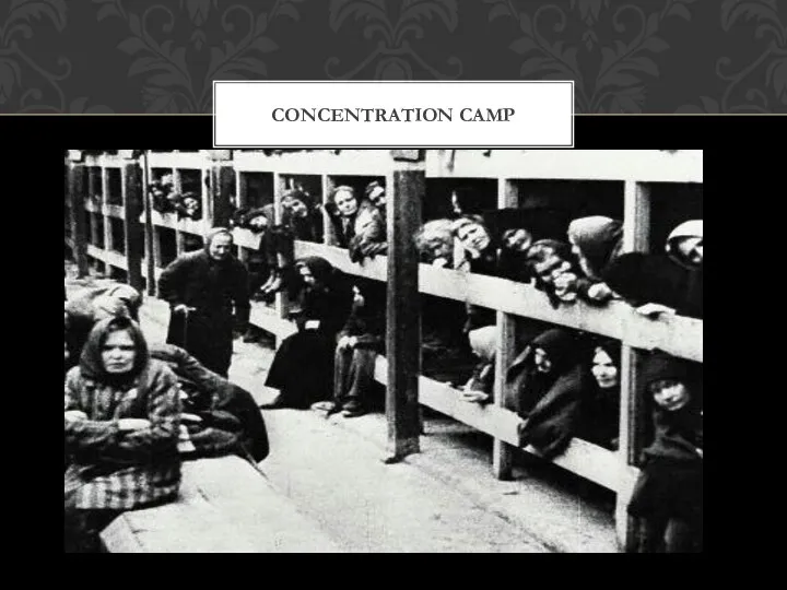 Concentration Camp