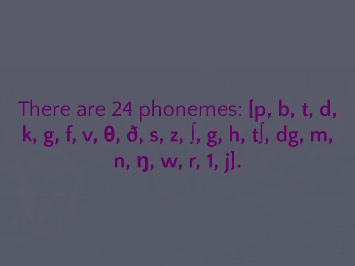 There are 24 phonemes: [p, b, t, d, k, g, f,