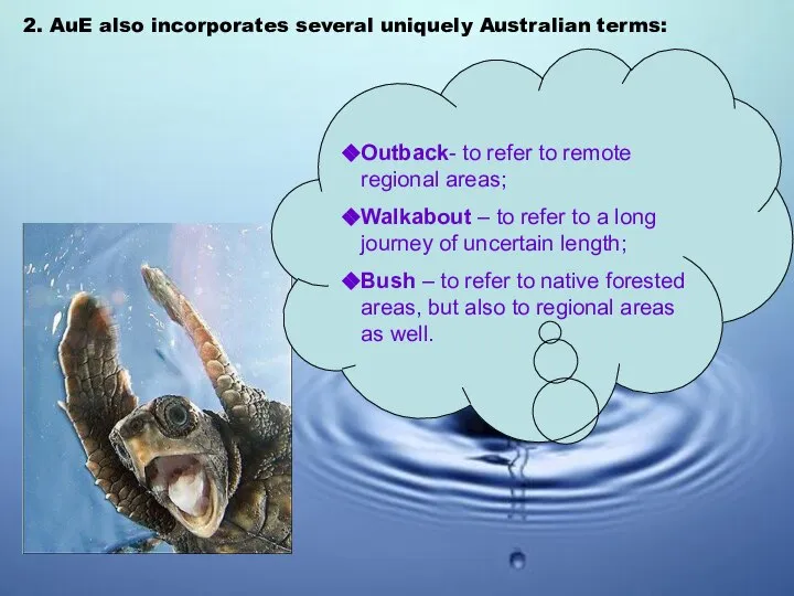 2. AuE also incorporates several uniquely Australian terms: Outback- to refer