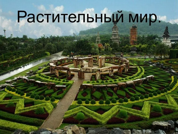 Растительный мир.