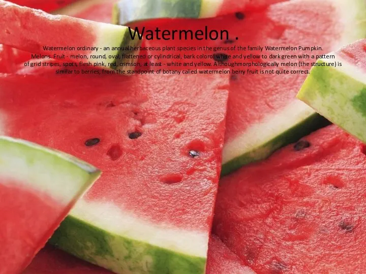 Watermelon . Watermelon ordinary - an annual herbaceous plant species in