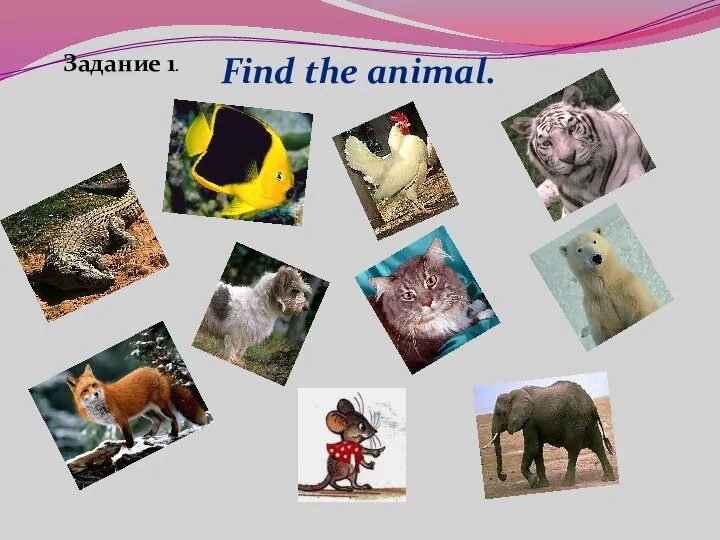 Find the animal. Задание 1.