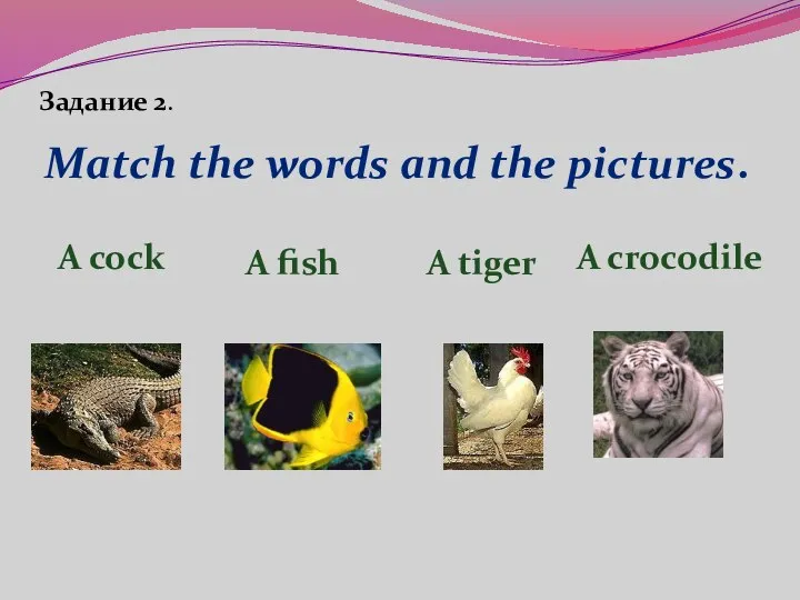 Match the words and the pictures. A fish A cock A tiger A crocodile Задание 2.