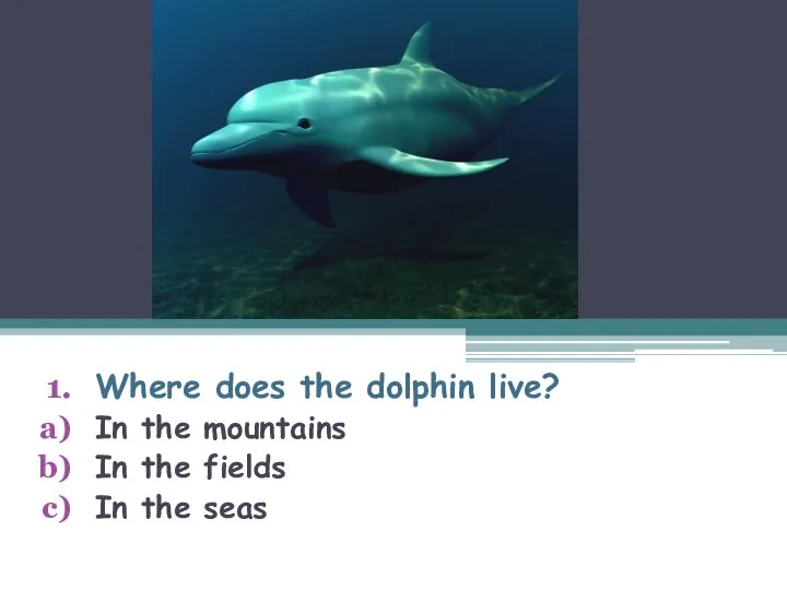 Where does the dolphin live? In the mountains In the fields In the seas