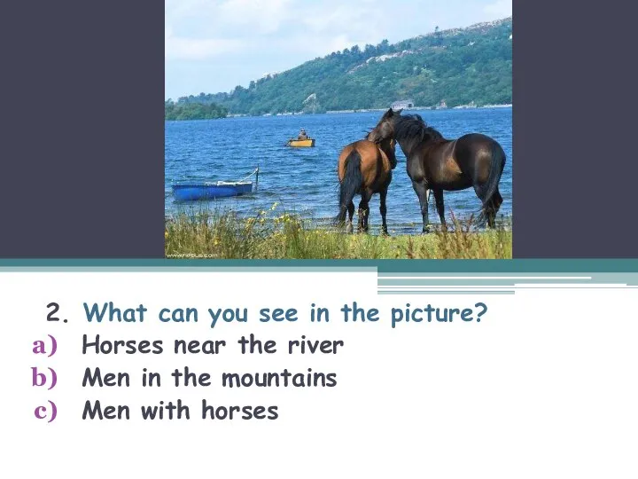 2. What can you see in the picture? Horses near the