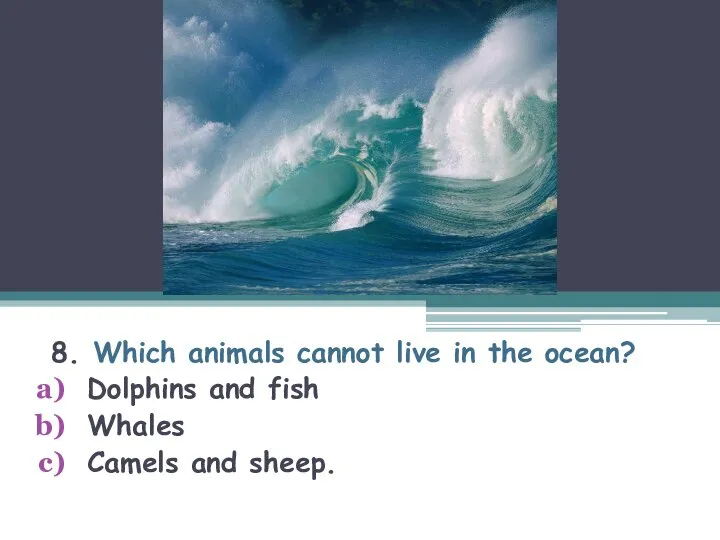 8. Which animals cannot live in the ocean? Dolphins and fish Whales Camels and sheep.