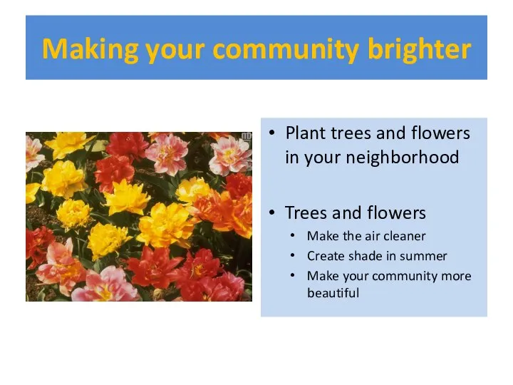Making your community brighter Plant trees and flowers in your neighborhood