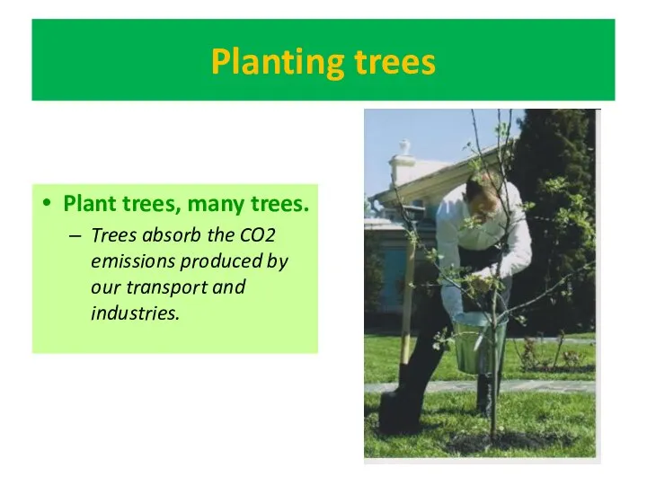 Planting trees Plant trees, many trees. Trees absorb the CO2 emissions