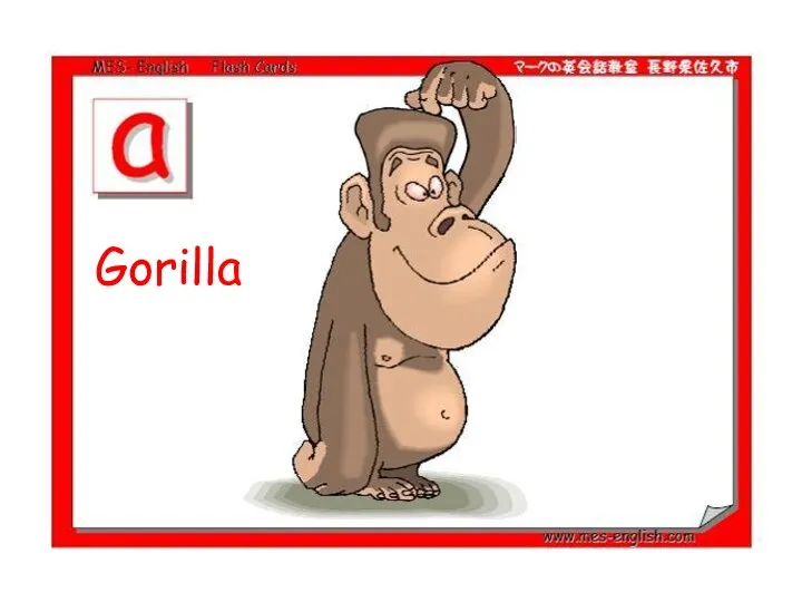 Gorilla