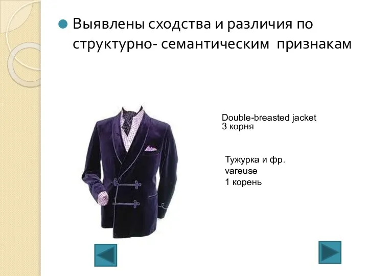 Выявлены сходства и различия по структурно- семантическим признакам Double-breasted jacket 3