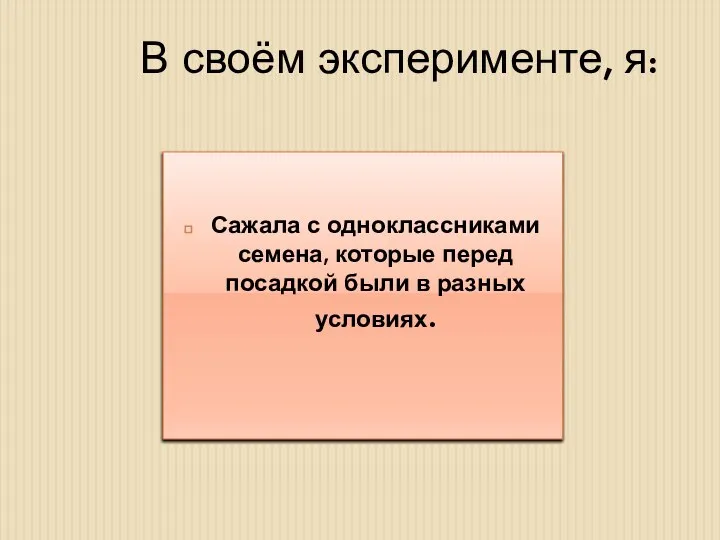 В своём эксперименте, я: Сажала с одноклассниками семена, которые перед посадкой были в разных условиях.