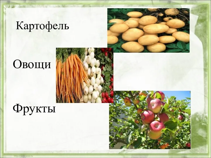 Картофель Овощи Фрукты