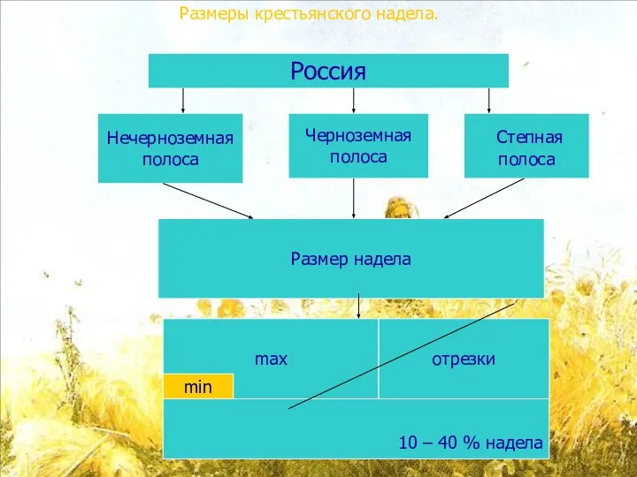 Размеры крестьянского надела. Россия Нечерноземная полоса Черноземная полоса Степная полоса Размер