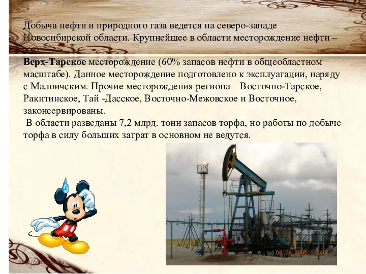 Добыча нефти и природного газа ведется на северо-западе Новосибирской области. Крупнейшее