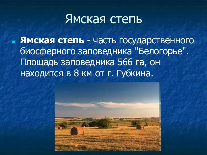 Ямская степь Ямская степь - часть государственного биосферного заповедника "Белогорье". Площадь