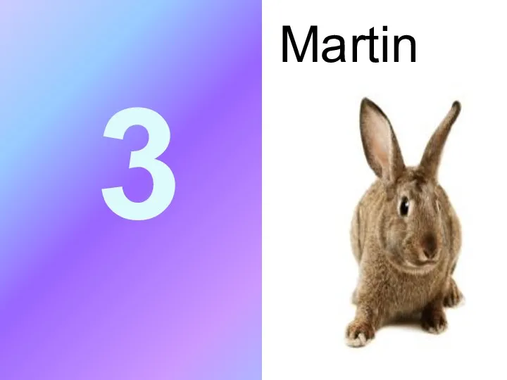 3 Martin