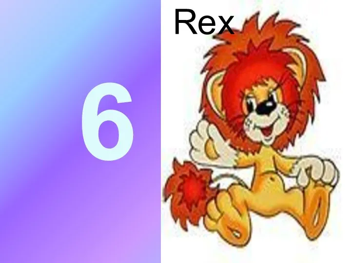 6 Rex