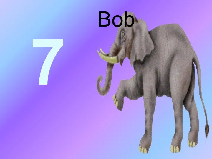 7 Bob