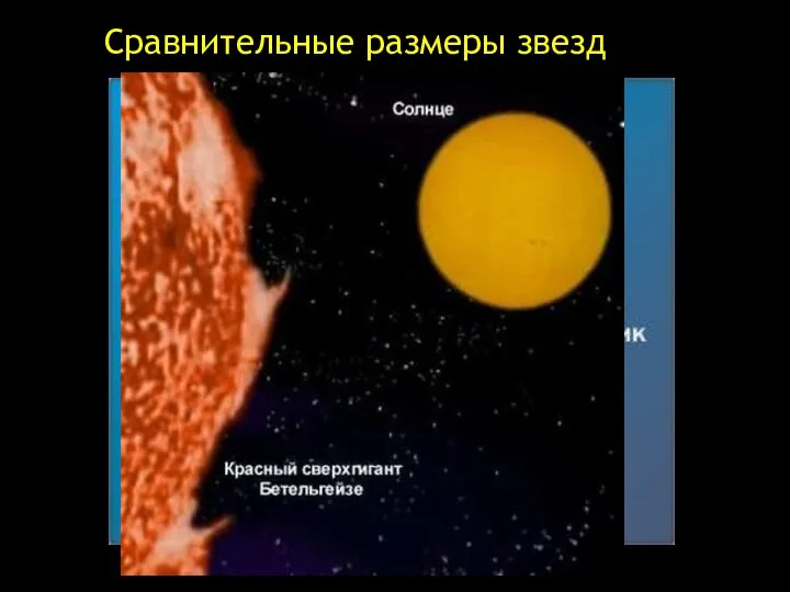 Сравнительные размеры звезд