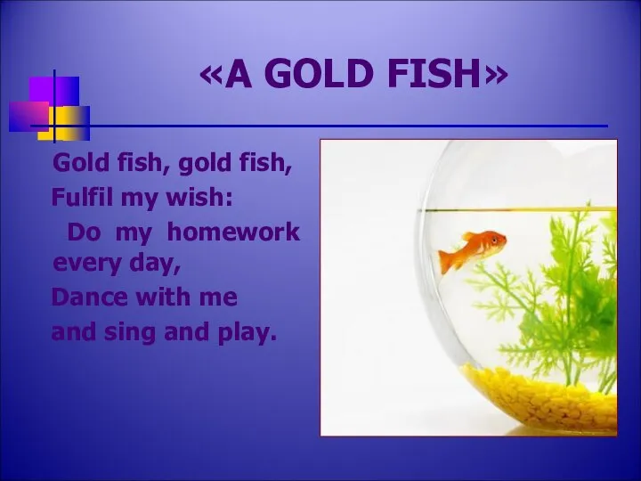 «A GOLD FISH» Gold fish, gold fish, Fulfil my wish: Do