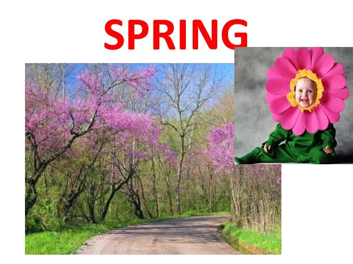 SPRING