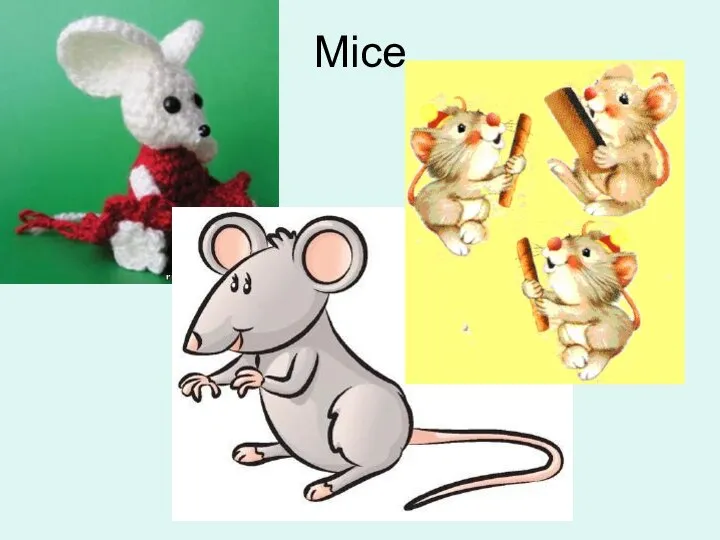 Mice