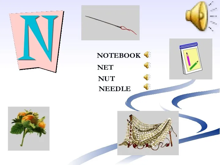 NOTEBOOK NUT NEEDLE NET