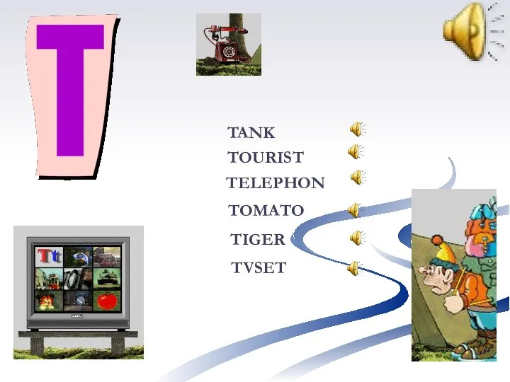 TELEPHON TOURIST TANK TOMATO TIGER TVSET