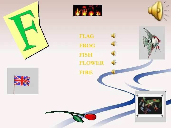 FLAG FLOWER FISH FIRE FROG