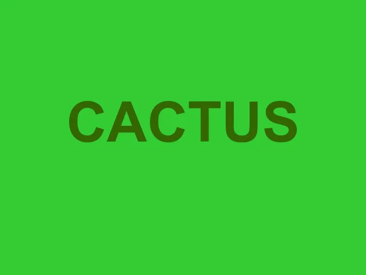 CACTUS